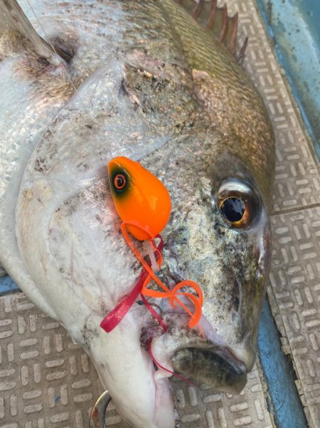 龍神丸(鹿児島) 釣果
