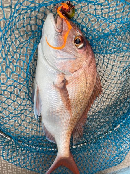 龍神丸(鹿児島) 釣果