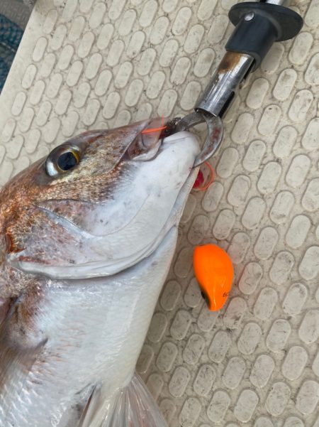 龍神丸(鹿児島) 釣果