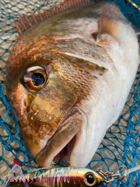 龍神丸（鹿児島） 釣果