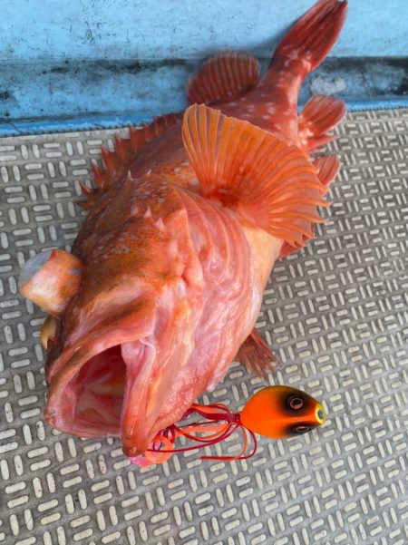 龍神丸（鹿児島） 釣果