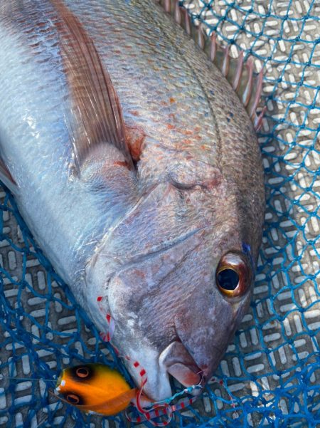 龍神丸（鹿児島） 釣果