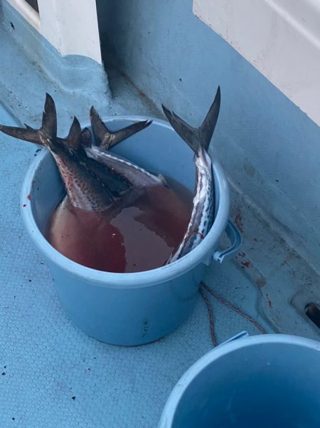 あみや渡船 JIGBOY 釣果