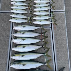 SeaRide(シーライド) 釣果