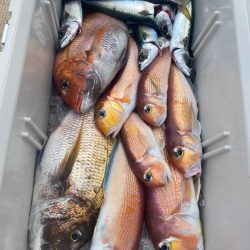 龍神丸(鹿児島) 釣果