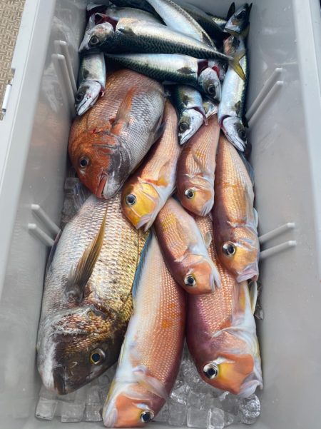 龍神丸（鹿児島） 釣果