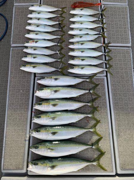 SeaRide(シーライド) 釣果