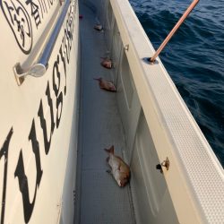 遊漁船高橋 釣果