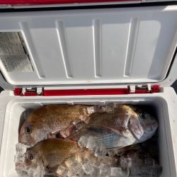 遊漁船高橋 釣果