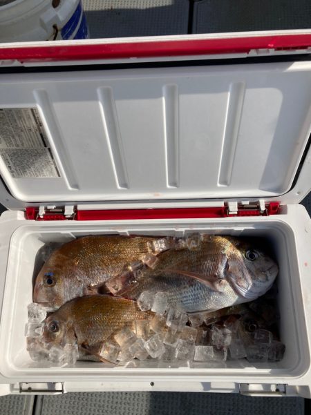 遊漁船高橋 釣果