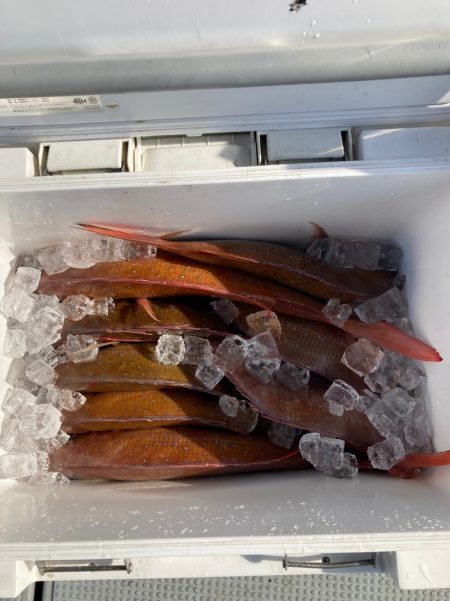 遊漁船高橋 釣果