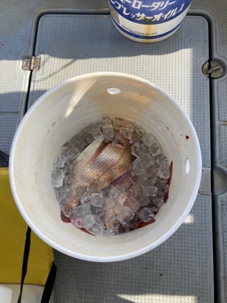 遊漁船高橋 釣果