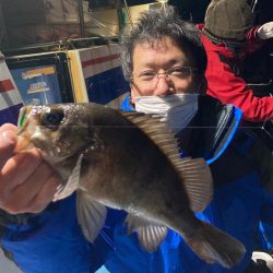 ヤザワ渡船 釣果