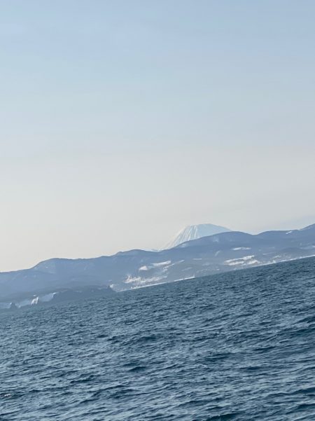 シーランチ 釣果