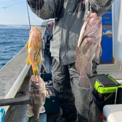 シーランチ 釣果