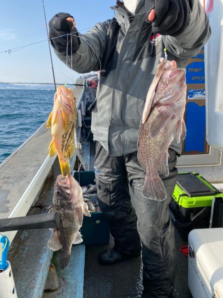 シーランチ 釣果