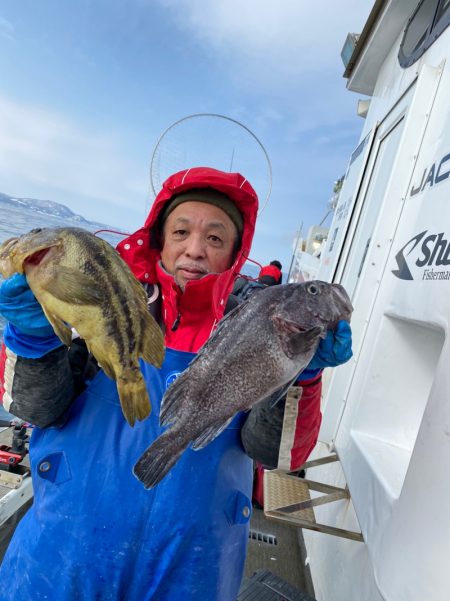 シーランチ 釣果