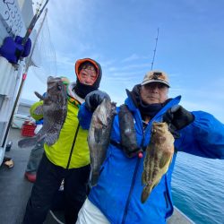 シーランチ 釣果