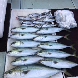 エムズジャーク(M’s JERK) 釣果