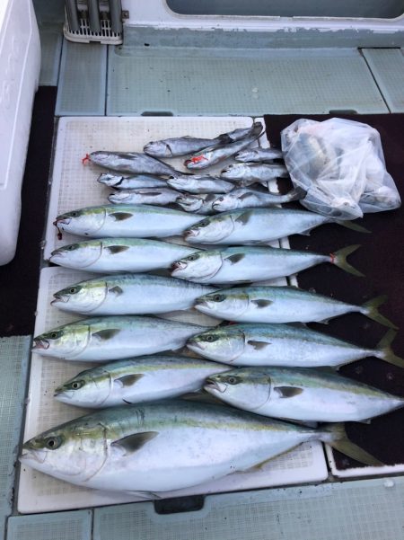 エムズジャーク（M's JERK…