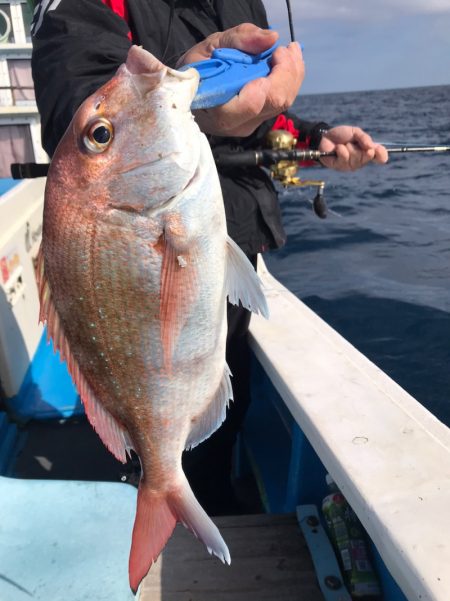 太平丸 釣果