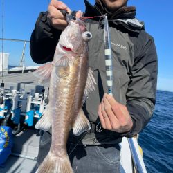 ＴＡＲＯＭＡＲＵ 釣果