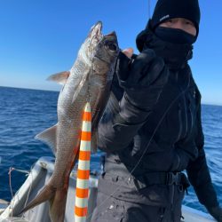 ＴＡＲＯＭＡＲＵ 釣果