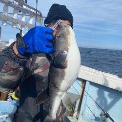 あみや渡船 JIGBOY 釣果