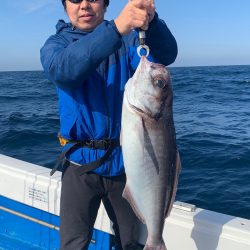釣鯛洋 釣果
