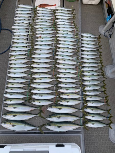 SeaRide(シーライド) 釣果