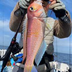 あみや渡船 JIGBOY 釣果