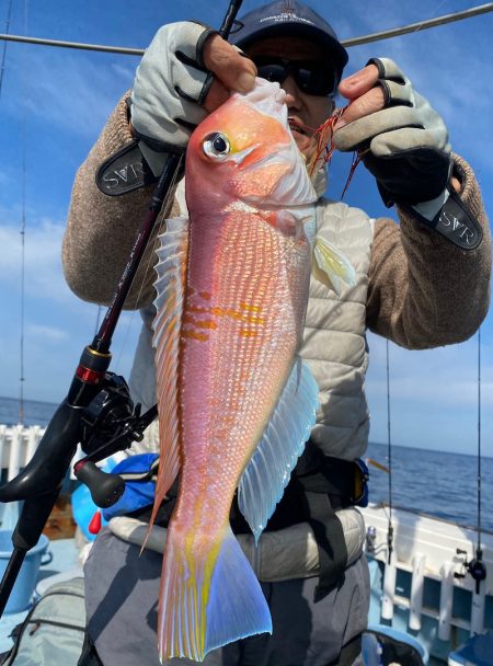 あみや渡船 JIGBOY 釣果