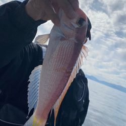 あみや渡船 JIGBOY 釣果