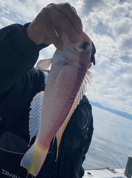 あみや渡船 JIGBOY 釣果