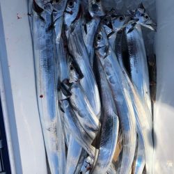 フィッシング　キッタカ 釣果