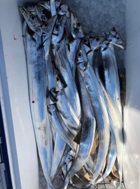 フィッシング　キッタカ 釣果