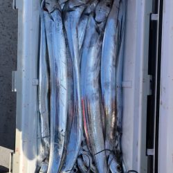 フィッシング　キッタカ 釣果