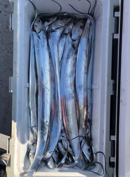 フィッシング　キッタカ 釣果