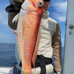 あみや渡船 JIGBOY 釣果