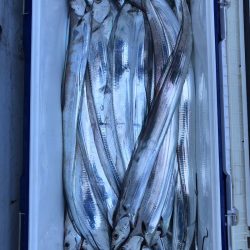 フィッシング キッタカ 釣果