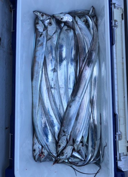 フィッシング キッタカ 釣果