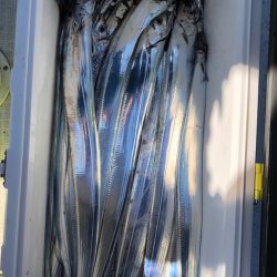 フィッシング キッタカ 釣果