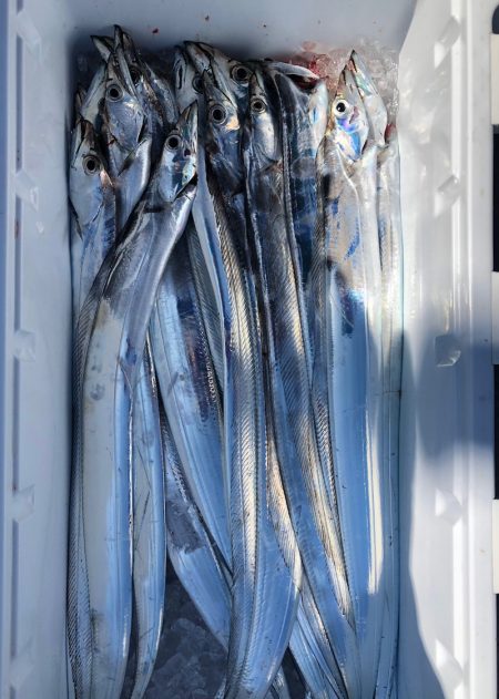 フィッシング　キッタカ 釣果