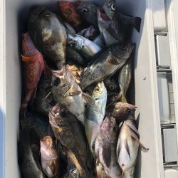 フィッシング　キッタカ 釣果