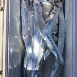 フィッシング　キッタカ 釣果