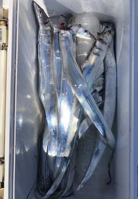 フィッシング　キッタカ 釣果