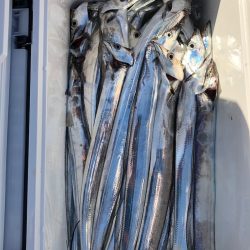 フィッシング キッタカ 釣果