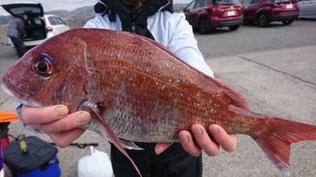 第三共栄丸 釣果