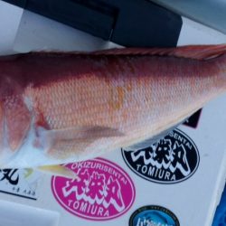 第三共栄丸 釣果