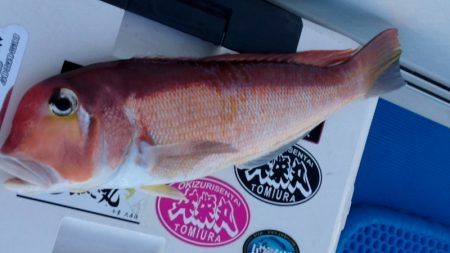 第三共栄丸 釣果